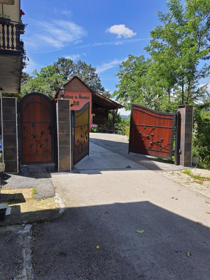 Kucica U Sumi Apartman Užice Kültér fotó