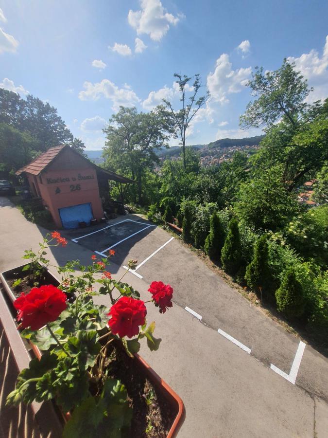 Kucica U Sumi Apartman Užice Kültér fotó
